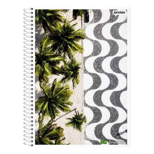 CADERNO ESPIRAL 1/4 CD 200FLS BRASILIDADE 